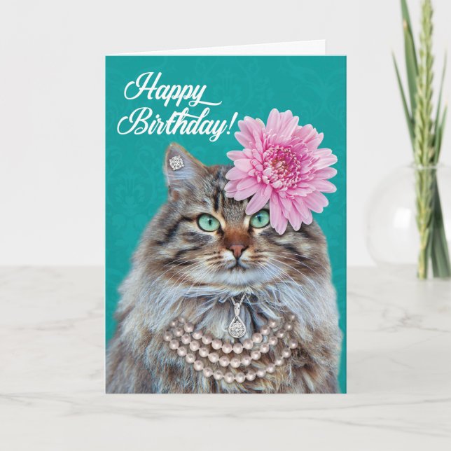 Schöne Maine-Coon-Katze - Du siehst Meowvala aus! Karte (Vorderseite)