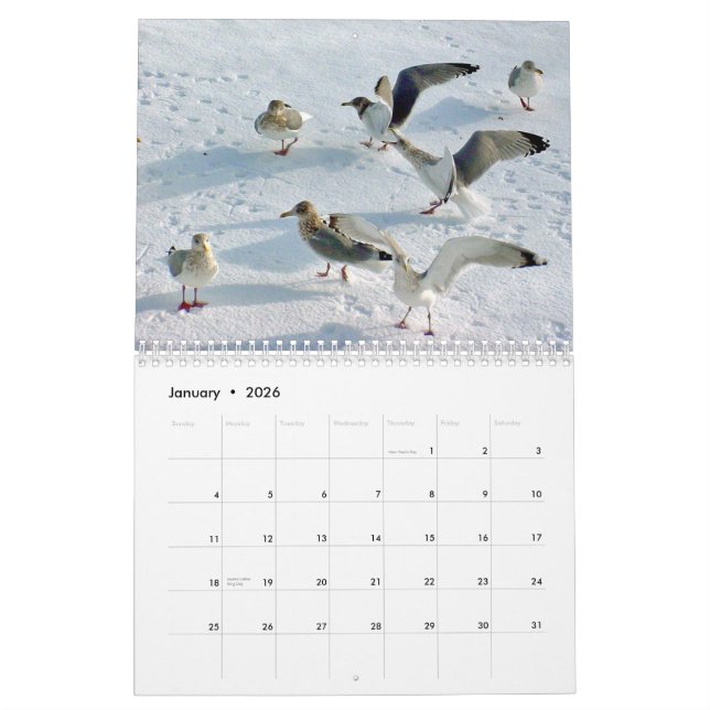 Schöne Maine-Küste Kalender (Jan 2026)