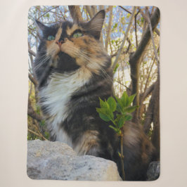 schöne majestätische Katze bunt Sherpadecke