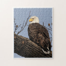 Schöne Mama (Adler)