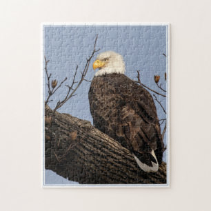 Schöne Mama (Adler)