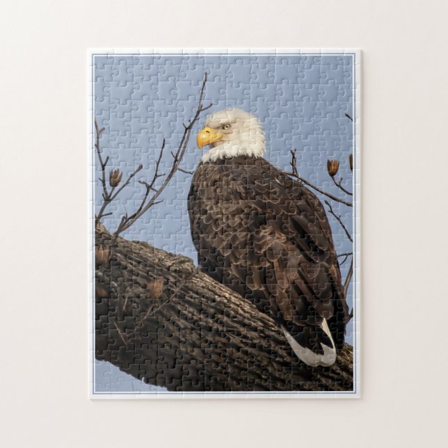 Schöne Mama (Adler) (Vertikal)