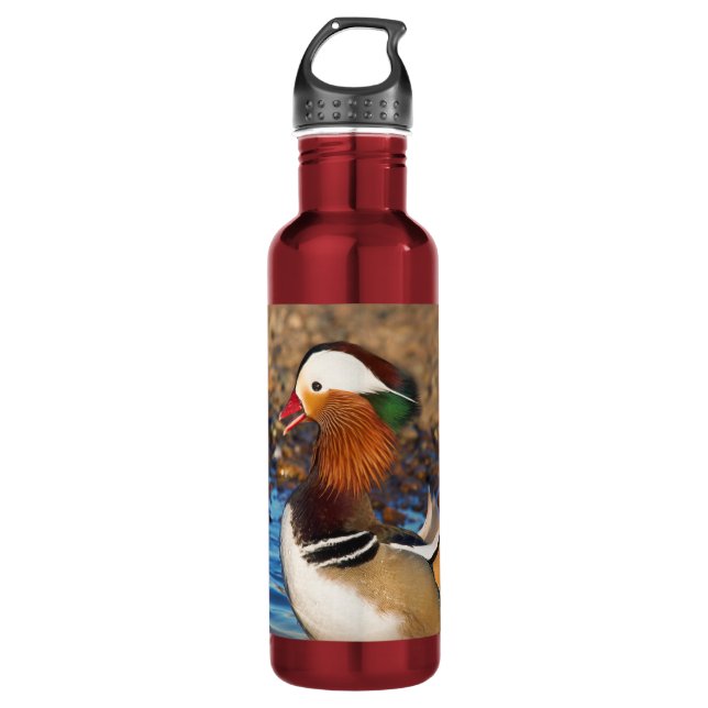 Schöne Mandarin-Duck im Teich Edelstahlflasche (Vorderseite)