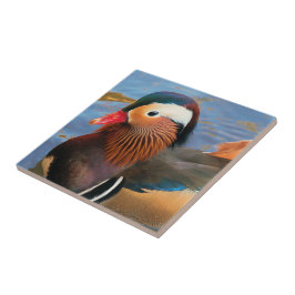 Schöne Mandarin-Duck im Teich Fliese