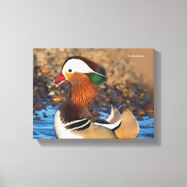 Schöne Mandarin-Duck im Teich Leinwanddruck (Vorderseite)
