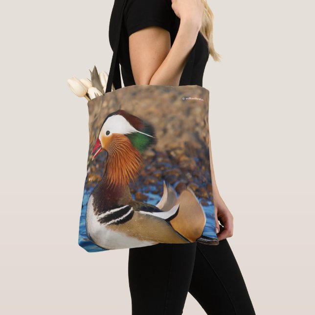 Schöne Mandarin-Duck im Teich Tasche (Von Nahem)