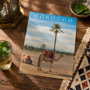 Schöne Marrakech-Kamel-Wüsten-Abenteuer Postkarte
