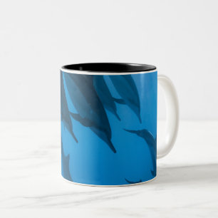 Schöne Meereskreaturen Zweifarbige Tasse