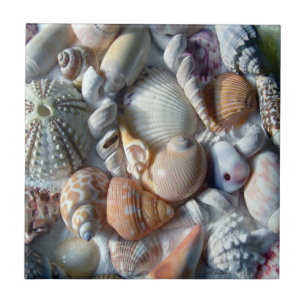Schöne Meeresmuscheln Meerestiere Quadrat-Fliese Fliese