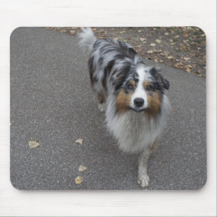 Schöne, mehrfarbige Aussie Mousepad