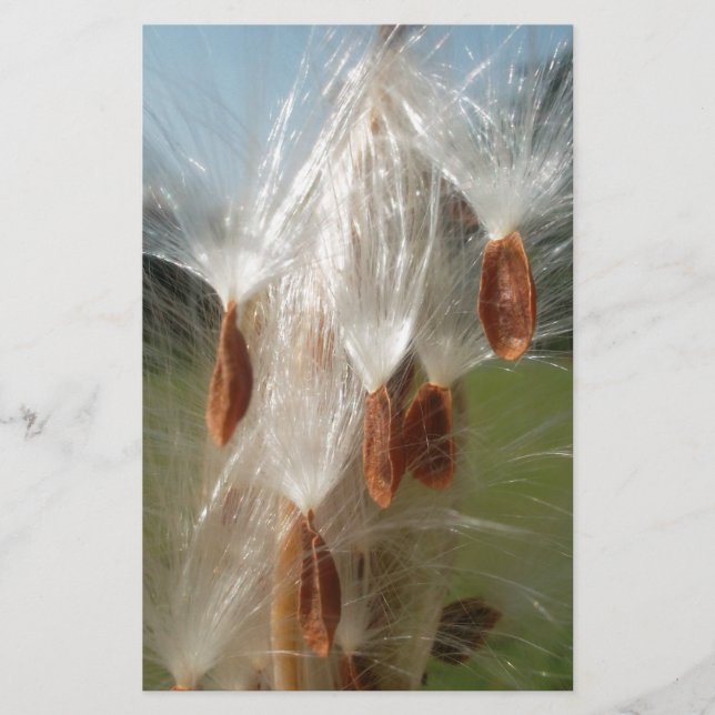 Schöne Milkweed Magie: Ein Skyward-Flugdesign Briefpapier (Vorderseite)