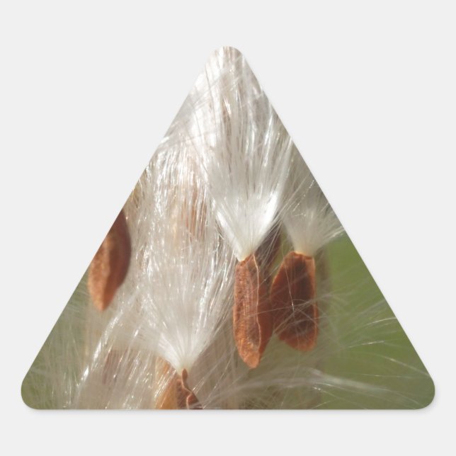 Schöne Milkweed Magie: Ein Skyward-Flugdesign Dreieckiger Aufkleber (Vorderseite)