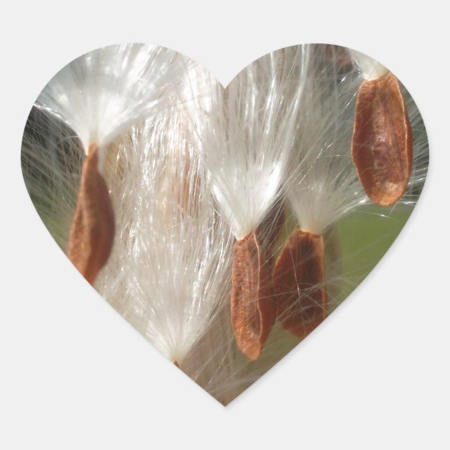 Schöne Milkweed Magie: Ein Skyward-Flugdesign Herz-Aufkleber (Vorderseite)