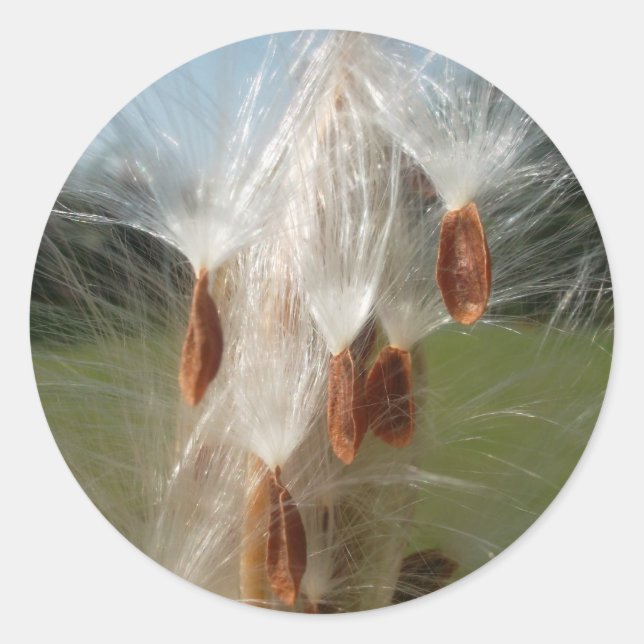 Schöne Milkweed Magie: Ein Skyward-Flugdesign Runder Aufkleber (Vorderseite)
