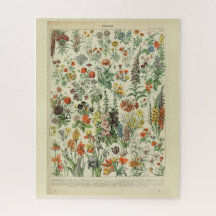Schöne Millot Fleur Illistration Print
