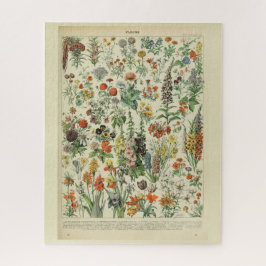 Schöne Millot Fleur Illistration Print