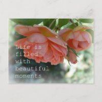Schöne Momente Rose Postkarte