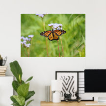 Schöne Monarch Butterfly Blumenfotografie