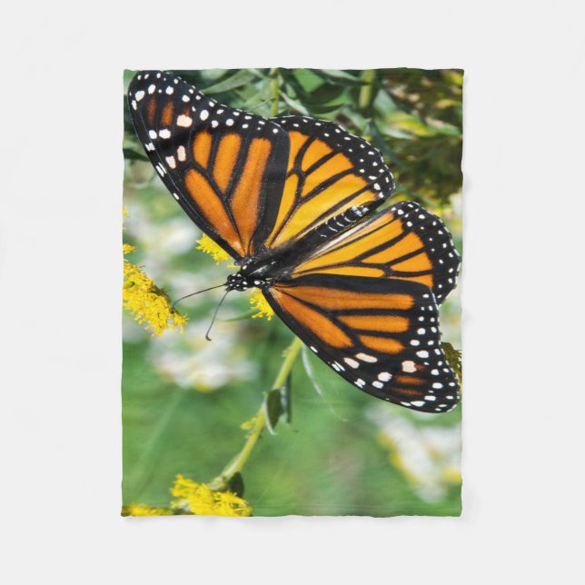 Schöne Monarch Butterfly Fleecedecke (Vorderseite)