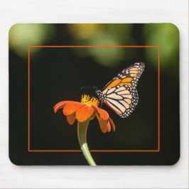 Schöne Monarch Butterfly Mousepad