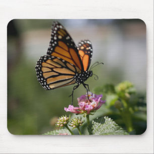 Schöne Monarch Butterfly Mousepad