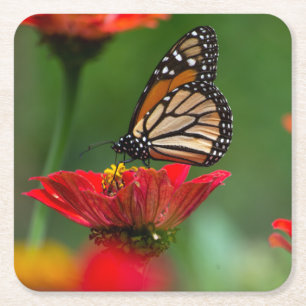 Schöne Monarch Butterfly Rechteckiger Pappuntersetzer