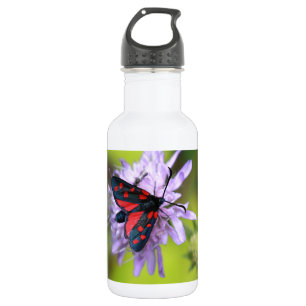 Schöne Moth Edelstahlflasche