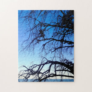 Schöne Mystic Old Tree Blue Ocean Beach Szene