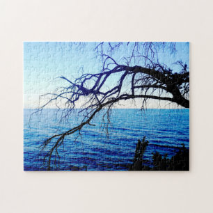 Schöne mystische alte Baum-Ozean-Strandszene Blau