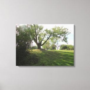 Schöne Natur Landschaft Bäume Fotografie Kunst Leinwanddruck