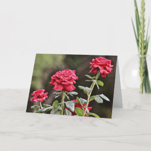 Schöne natürliche Rose Blume Karte