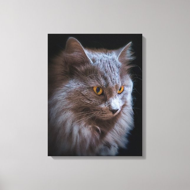 Schöne Nebelung Cat Long Hair Russisch Blue Grau Leinwanddruck (Vorderseite)