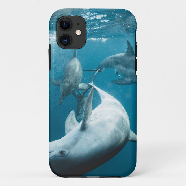 Schöne Niedliche Delphine Case-Mate iPhone Hülle (Rückseite)