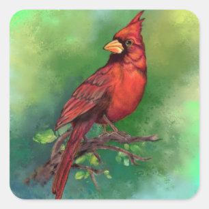 Schöne Northern Red Kardinal Bird Malerei Art  Quadratischer Aufkleber
