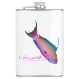 Schöne nuptiale Färbung für Sea Goldy Flachmann