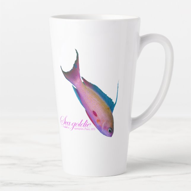 Schöne nuptiale Färbung für Sea Goldy Milchtasse (Rechts)