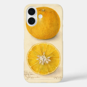 Schöne Orange Artwork iPhone 16 Hülle