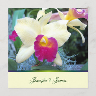 Schöne Orchid Hochzeit Einladung