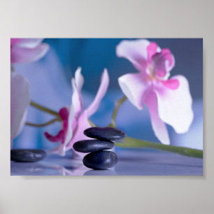Schöne Orchidee, Zen-Steine Poster