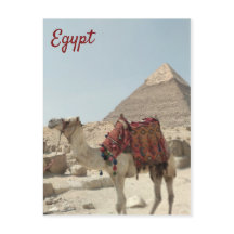 Schöne orientalische, Pyramiden Camel Ägypten Post