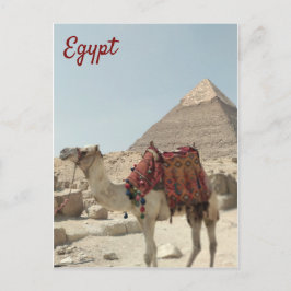 Schöne orientalische, Pyramiden Camel Ägypten Post Postkarte