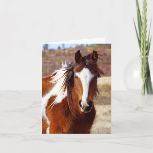 Schöne Paint Horse Geburtstagskarten Karte (Vorderseite)