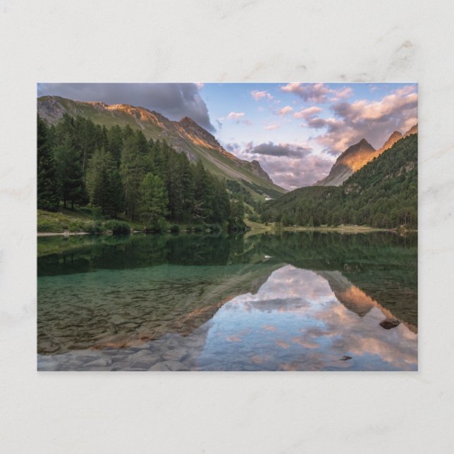 Schöne Palpuogna | Schweizer Alpen Postkarte (Vorderseite)