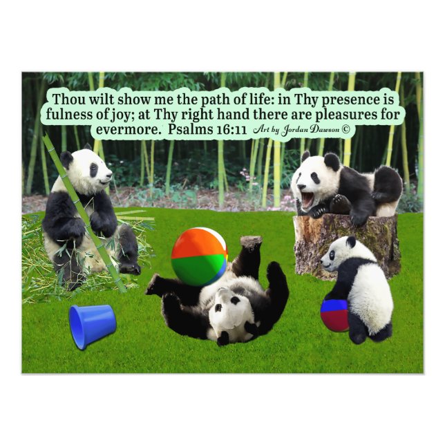 Schöne Panda-Schrift: Psalmen 16:11, Fotodruck (Vorne)