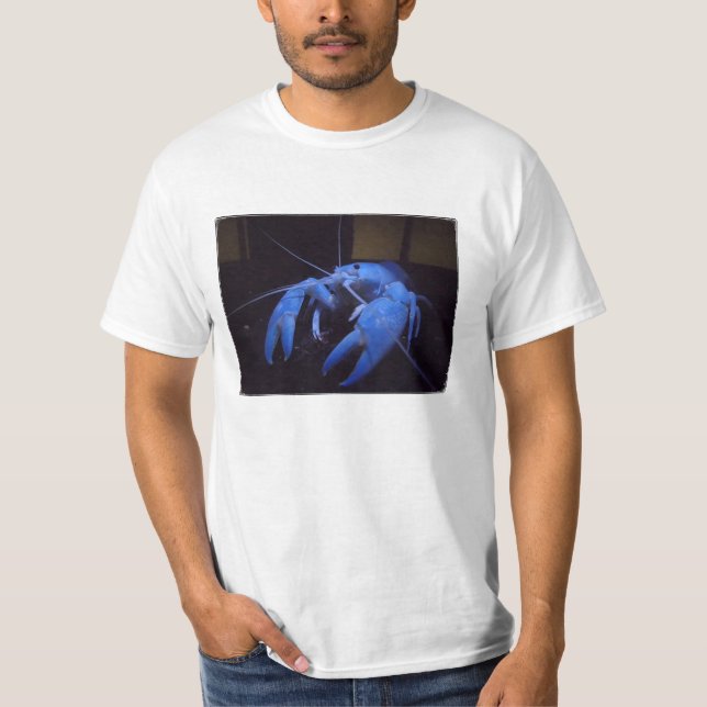 Schöne Panzerkrebse T-Shirt (Vorderseite)