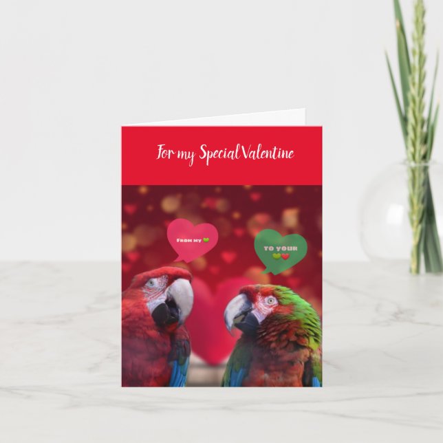 Schöne Papageien Valentine Grußkarte Karte (Vorderseite)