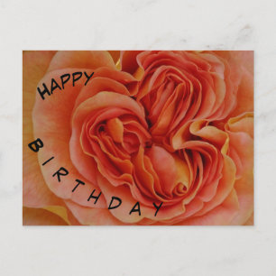 Schöne Pastell-Rosen-Happy-Birthday-Postkarte Postkarte