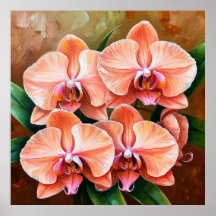 Schöne Peach Orchids