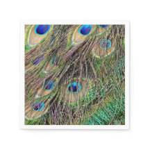 Schöne Peacock Feathers