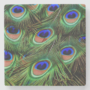 Schöne Peacock Feathers Steinuntersetzer